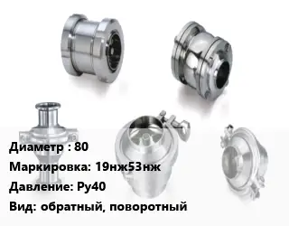 Клапан нержавеющий 80 19нж53нж Ру40 обратный, поворотный